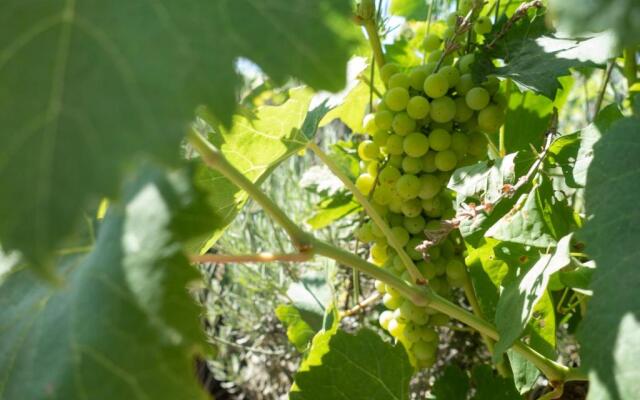 Appartamento in campagna a Sciacca