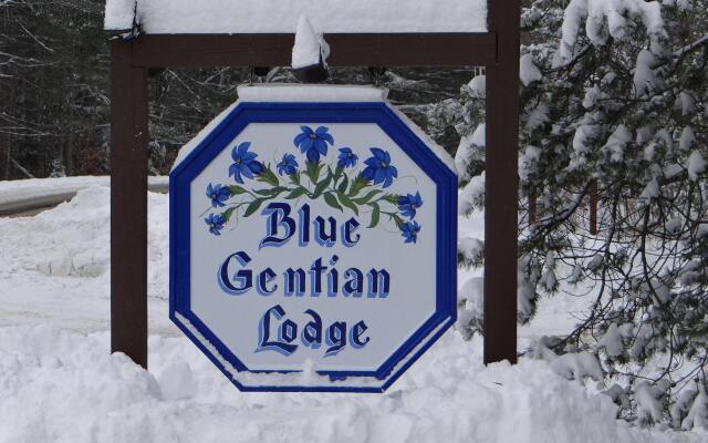 Blue Gentian Lodge at Magic Mountain