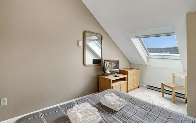 Mt Green 2-f04 in Killington