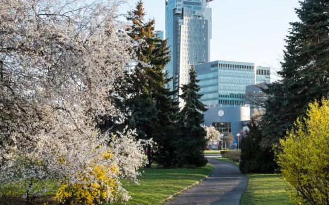 Studio Świętojańska