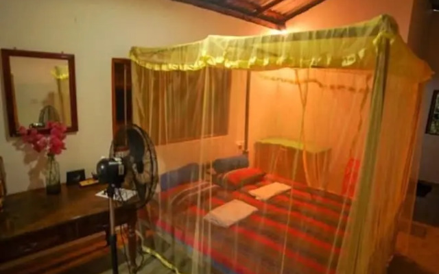 The Jungle House