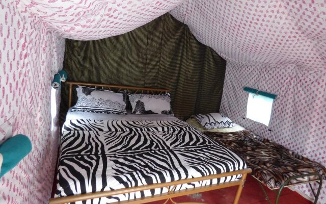 Mogli Camps