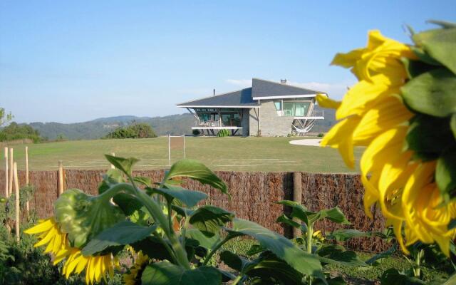 The Hidden Secret on the Cliff