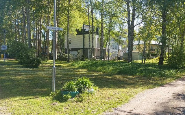 Pas Rasą