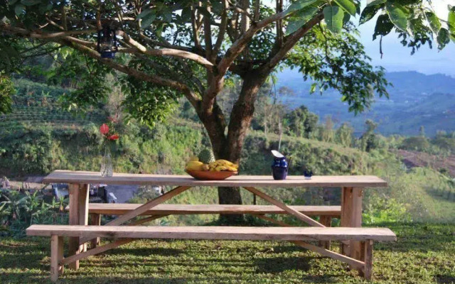 Monte Jazmín