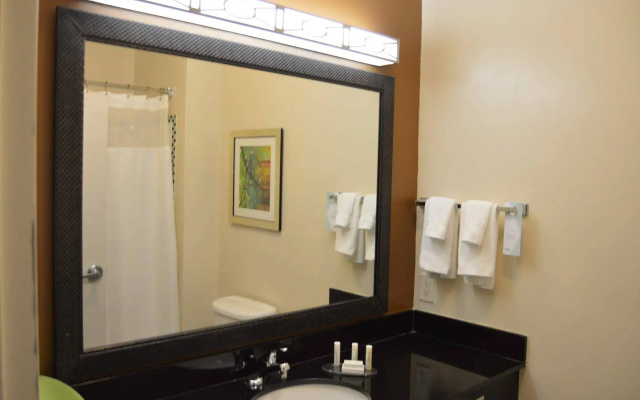 Fairfield Inn & Suites Houston Channelview
