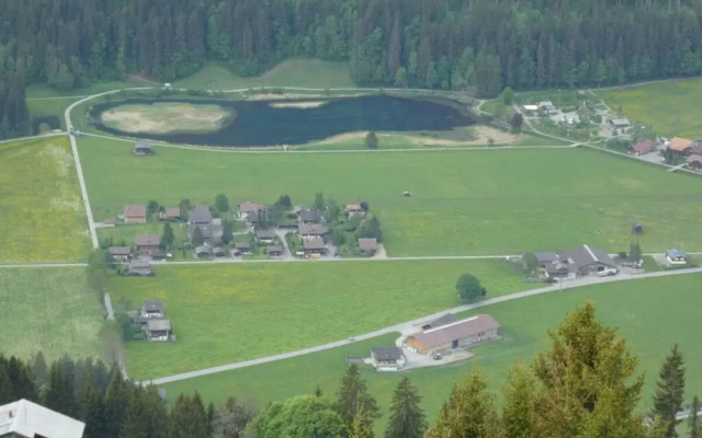 Charming Apartment in Lenk