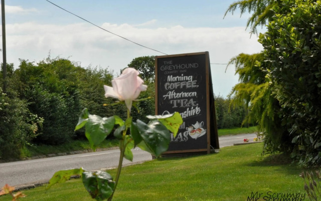 Greyhound Country Inn