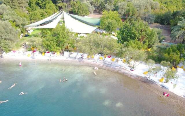 Paradise Island Beach Camping