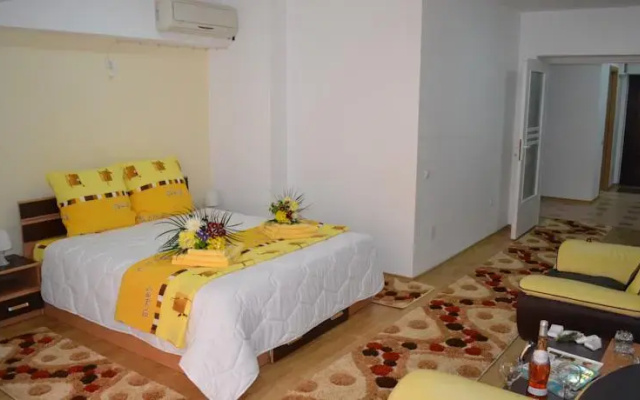 Central House Apartments Bacau