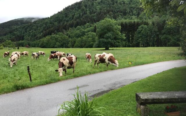 Gîte de la Mésange