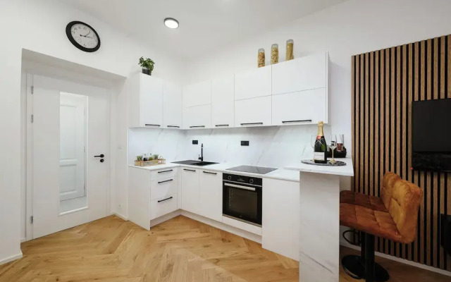 Luxury Musicians Apartment Central Praha