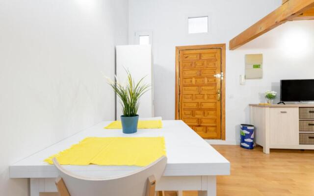 Duplex Lavapies 1BD