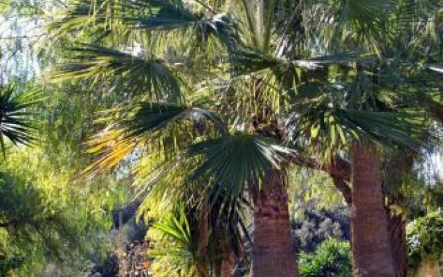 Finca Hotel C'An Bota