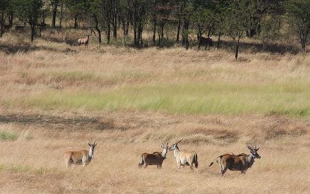 Lemala Mara Tented Camp