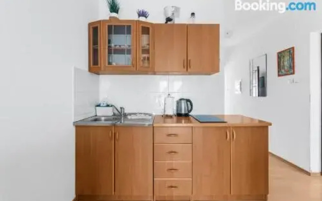 Apartment Novigrad