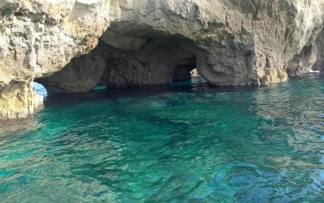 Acquarium  Tropea