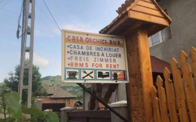 Pensiunea Ana Orghici