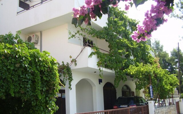 Dane - 30m From the sea - A2