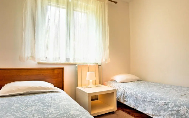 Laurus Tuli Evica in Tuli Evica