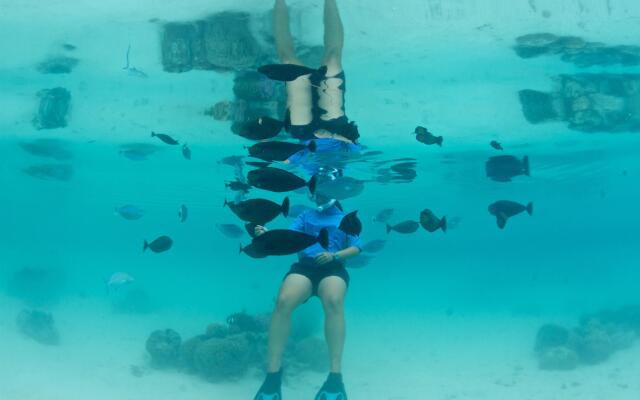 The Westin Bora Bora Resort & Spa