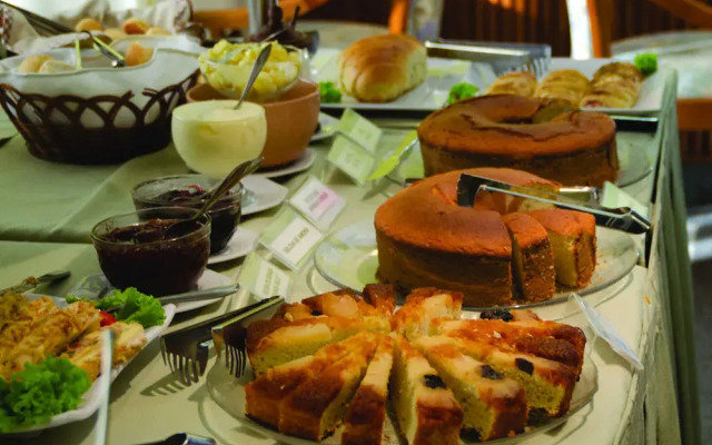 卡舒埃鲁广场酒店(Cachoeiro Plaza Hotel)