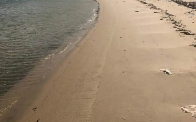 Sunbeash resort