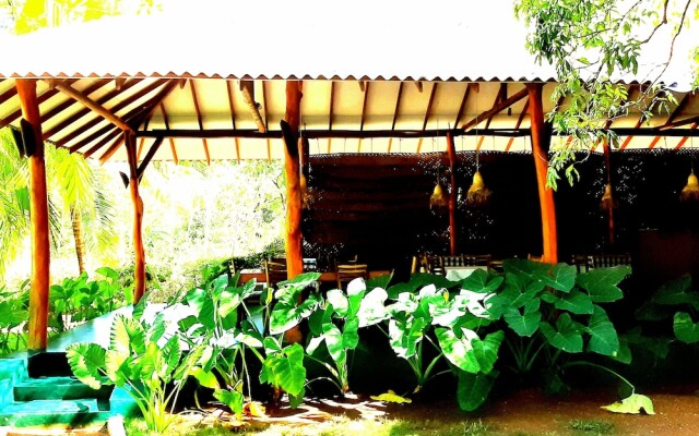 priya homestay kandalama
