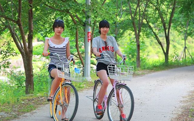 Gapyeong Ilsang Escape Pension