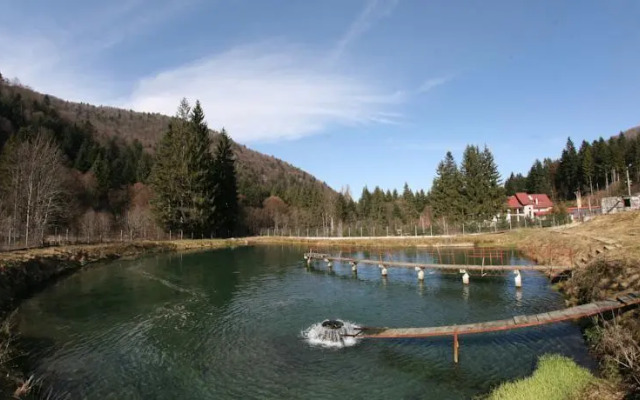 Pension Floarea Reginei
