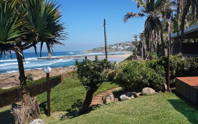 Southern Comfort - Starfish