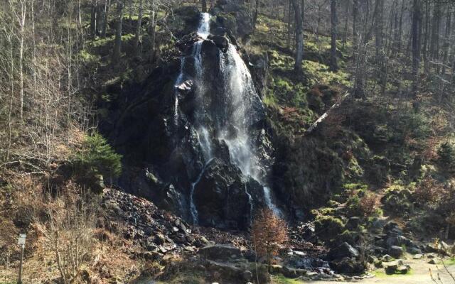 Wurmberg Hexe mit Blick auf den Wurmberg