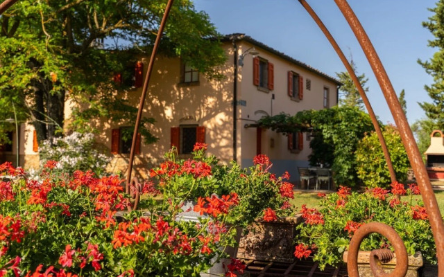 Rosa Montelopio in Montelopio