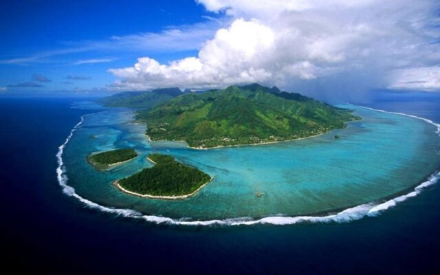 Residence Les Cocotiers