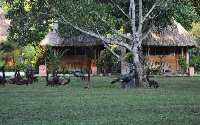 Hostal Jungle Lodge Tikal