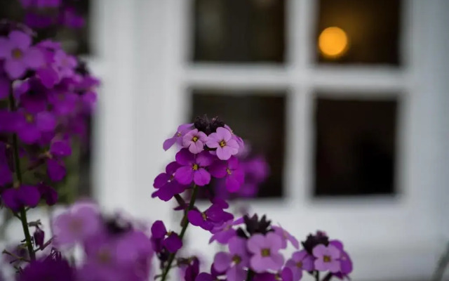 Findon Manor Hotel