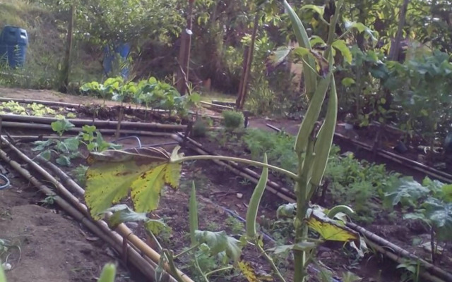 Pousada Estacao Andorinhas