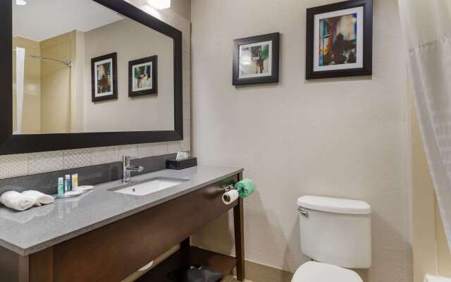 Comfort Suites Shenandoah-The Woodlands