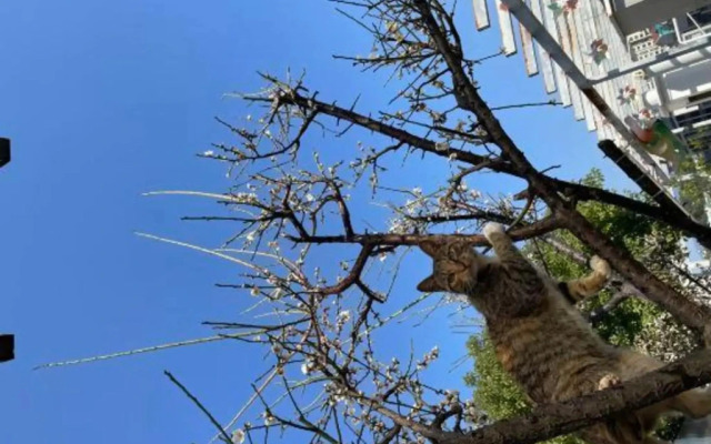 Spring Hotel Gupin Road - Fuzhou