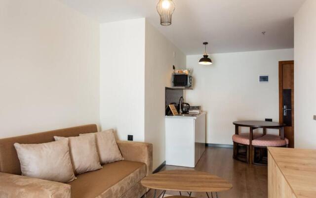 Bright and Cozy 1BR Apartment In Marshall Gudauri Project