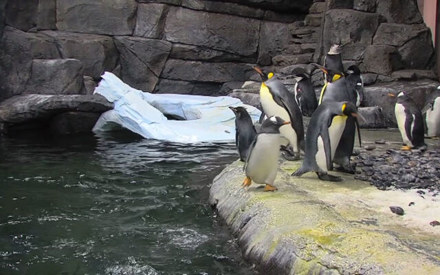 Hawthorn Extended Stay by Wyndham Cincinnati NE/Mason