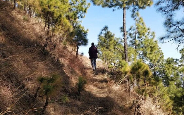 TGV Escape,Kanatal