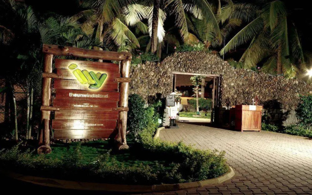 Ivy – theunwindisland