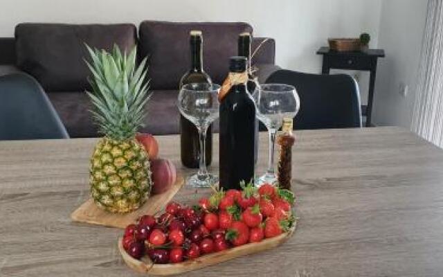 Apartment Prkic