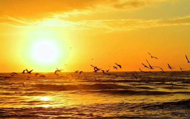 The Saint Augustine Beach House