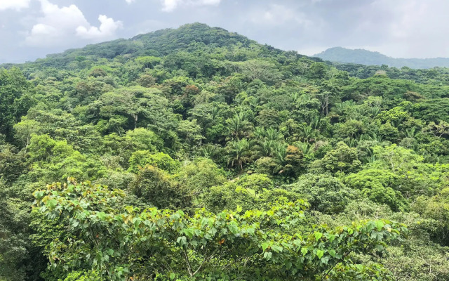 Summit Rainforest & Golf Resort