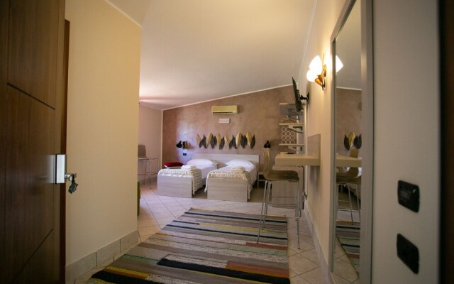 B&B Trepo