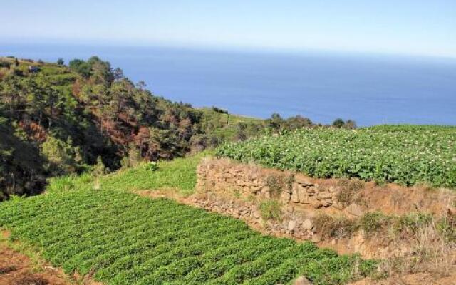 Theo’S House by Ourmadeira