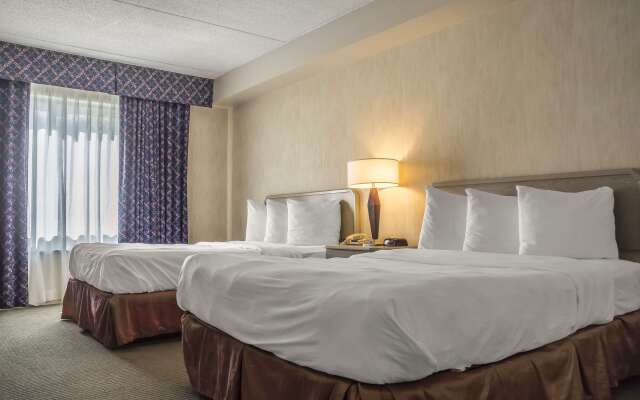 Comfort Suites London