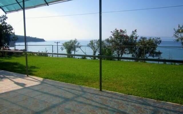 Rosa's ·Beach Studios·